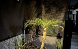 施工事例:ロックガーデン調の庭